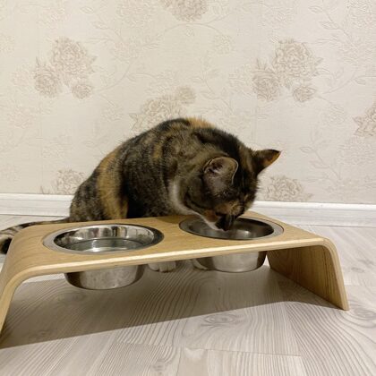 cat feeding bowl stand