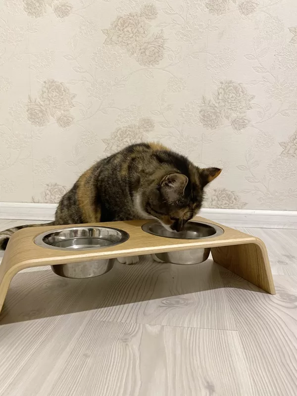 cat feeding bowl stand