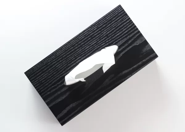 Tissue box cover